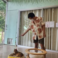 แมวหมึก Cat Cafe'
