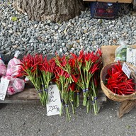 Miyakawa Morning Market