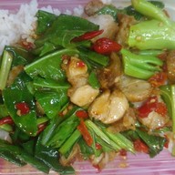 แจ่วฮ้อน&ต้มแช่ปกระเพราโจรเดลิเวอรี่ พหลโยธิน 52เพิ่มสิน20 กระเพราโจรเดลิเวอรี่ อาหารตามสั่ง