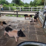 Khao Yai Farm Village