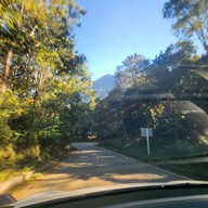 บรรยากาศ Giant Trees Alley - อุโมงค์ต้นไม้ เชียงดาว