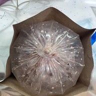 พีพีกาแฟสด ซอย สายกอ