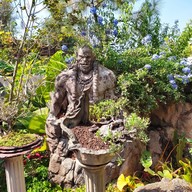 บรรยากาศ ในฝัน cafe