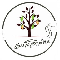 Mango House N.8 Mango House N.8 พหลโยธิน 51