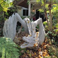 บรรยากาศ ในฝัน cafe