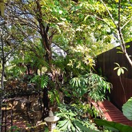 บรรยากาศ ในฝัน cafe