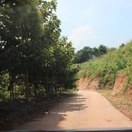 จุดชมวิวอ่าวโต๊ะหลี