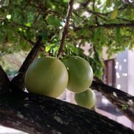 Asama Coffee&Roastery บริษัท อสมา คอฟฟี่ โรสเทอรี่ จำกัด