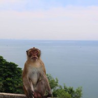 บรรยากาศ วัดเขาตะเกียบ