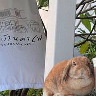 Kinkan Shabu หม่าล่าหม้อไฟ หม่าล่าทั่ง หม่าล่าย่่างเสียบไม้ ซอยแม่เนียน สตูล