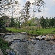 Canary Natural Resort