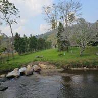 Canary Natural Resort