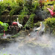 สวนสัปปายะ Cactus Farm