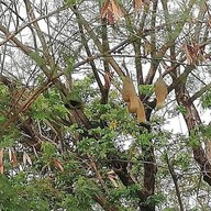 สวนวารีภิรมย์