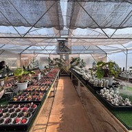 สวนสัปปายะ Cactus Farm