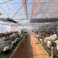 สวนสัปปายะ Cactus Farm
