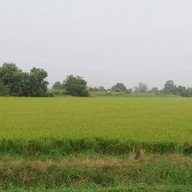 สวนวารีภิรมย์