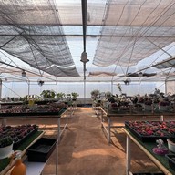 สวนสัปปายะ Cactus Farm