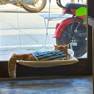 Le Moon Home Cafe Le Moon Home Cafe