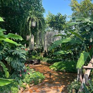 สวนสัปปายะ Cactus Farm