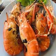 วารีซีฟู้ด วารีซีฟู้ด