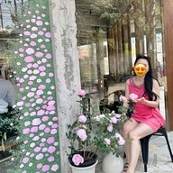 The Carlendar Cafe