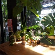 บ้านเหนือ Coffee ...