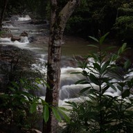 เกาะกลางโตนแพรทองแคมป์ปิ้ง