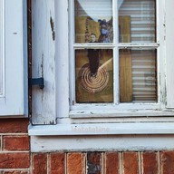 Dutch Quarter Holländisches Viertel