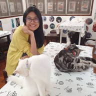 บรรยากาศ ไอติมก้นโอ่ง Icecream&Cat Cafe หัวหิน