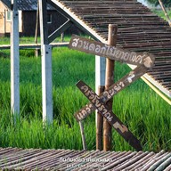 ที่ปลายนาตากับยาย