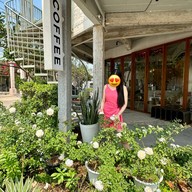 The Carlendar Cafe
