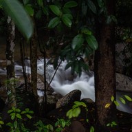 เกาะกลางโตนแพรทองแคมป์ปิ้ง