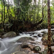 เกาะกลางโตนแพรทองแคมป์ปิ้ง