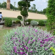 โครงการบุรีรัมย์ คาสเซิล