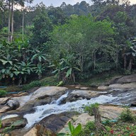 River rock cafe hill Sine 2020