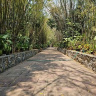 วัดป่าชัยรังสี