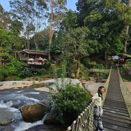 River rock cafe hill Sine 2020