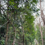 อ่างเก็บน้ำทรายทอง