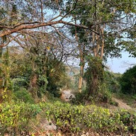 อ่างเก็บน้ำทรายทอง