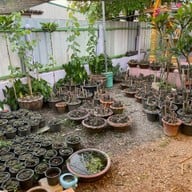 ครัวบ้านบ้าน