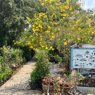 วัดเลขธรรมกิตติ์