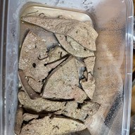 ขุนเดปป์ ก๋วยเตี๋ยวเนื้อตุ๋น หมูตุ๋น กระทะร้อน สาขาวัชรพล วัชรพล