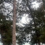 หาดค่ายเจษฎาราชเจ้า