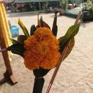 บรรยากาศ พญาเต่างอย