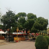 บรรยากาศ พญาเต่างอย