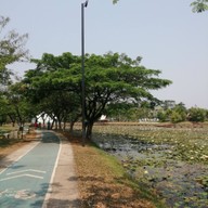 บรรยากาศ อุทยานบัวเฉลิมพระเกียรติ