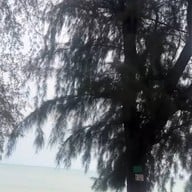 หาดค่ายเจษฎาราชเจ้า