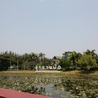 บรรยากาศ อุทยานบัวเฉลิมพระเกียรติ