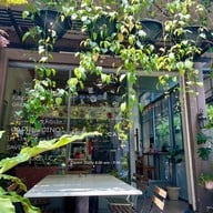 the canary cafe